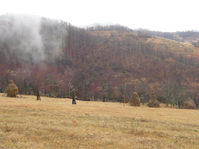 20111217 Zarándban barargolva 1500